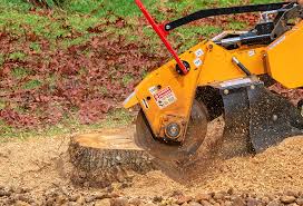 Best Tree Mulching  in Cheboygan, MI