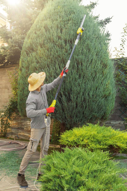 Lawn Grading and Leveling in Cheboygan, MI